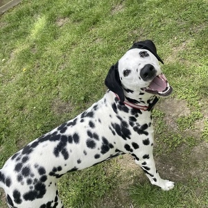 Fundraising Page: julene thomas-highfield